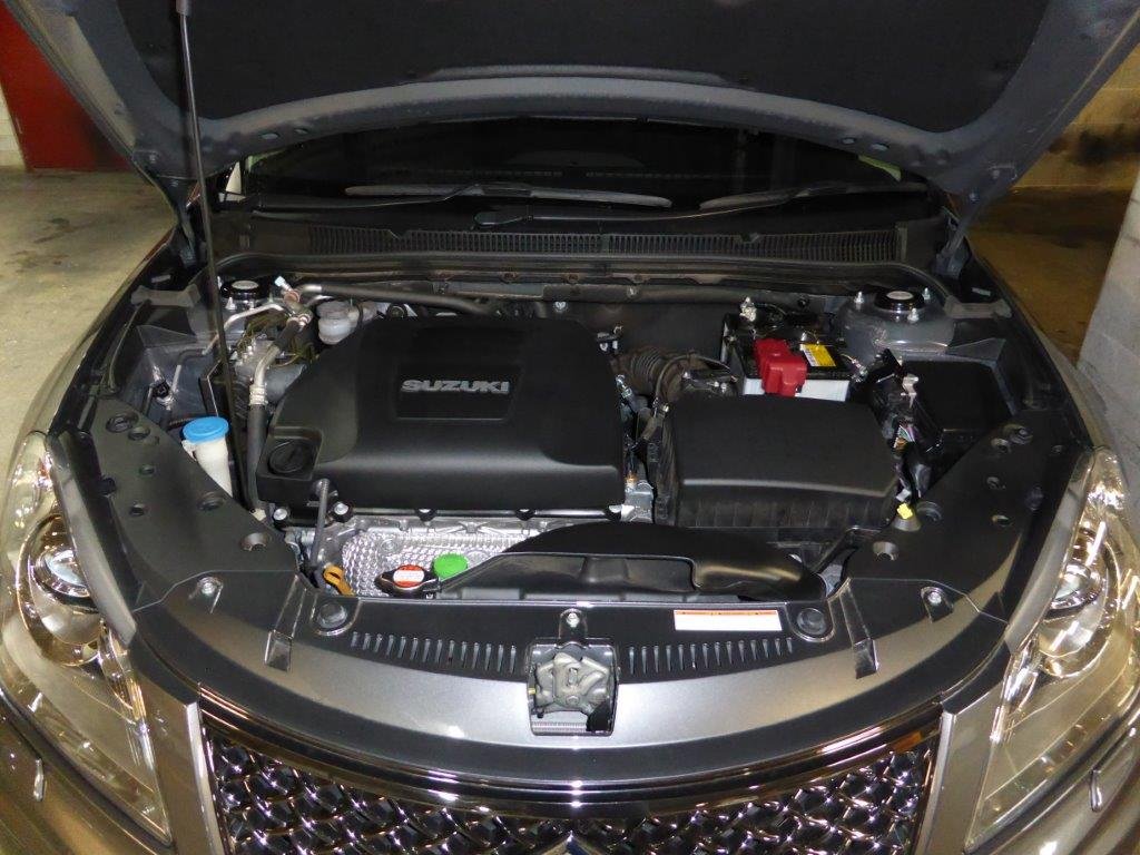 P1000211.jpg