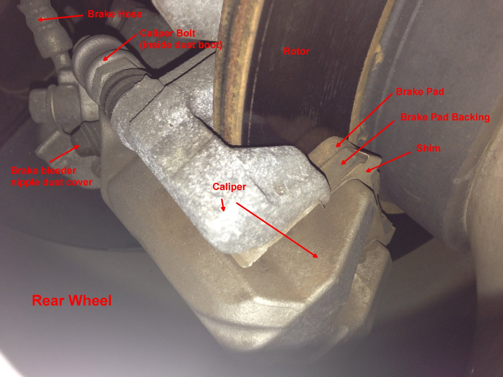 Rear Brake Components.jpg